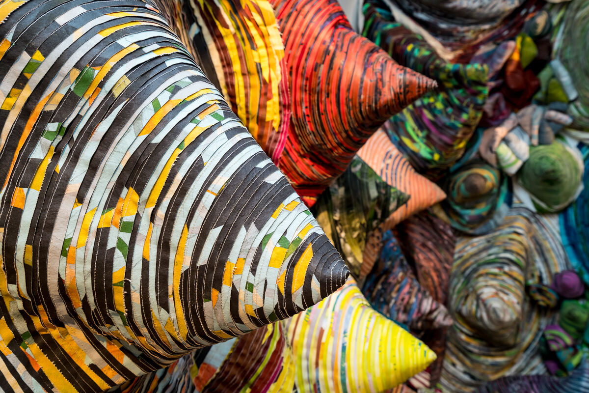 Morph — Colleen McCubbin Stepanic